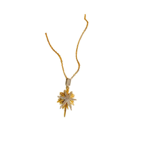 316 Stainless Steel The North Star Necklace