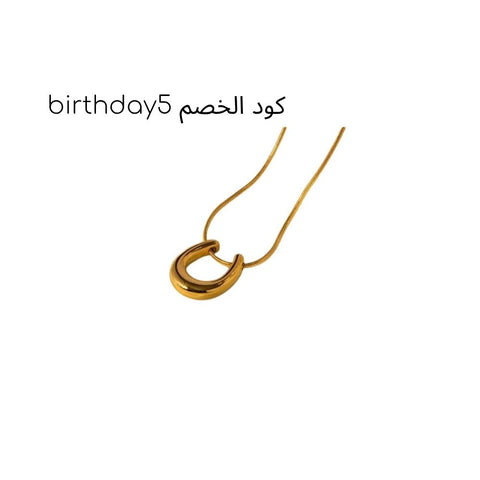 316 Stainless Steel The Horseshoe Necklace