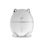 Cat Humidifier