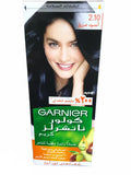 Garnier Hair Color